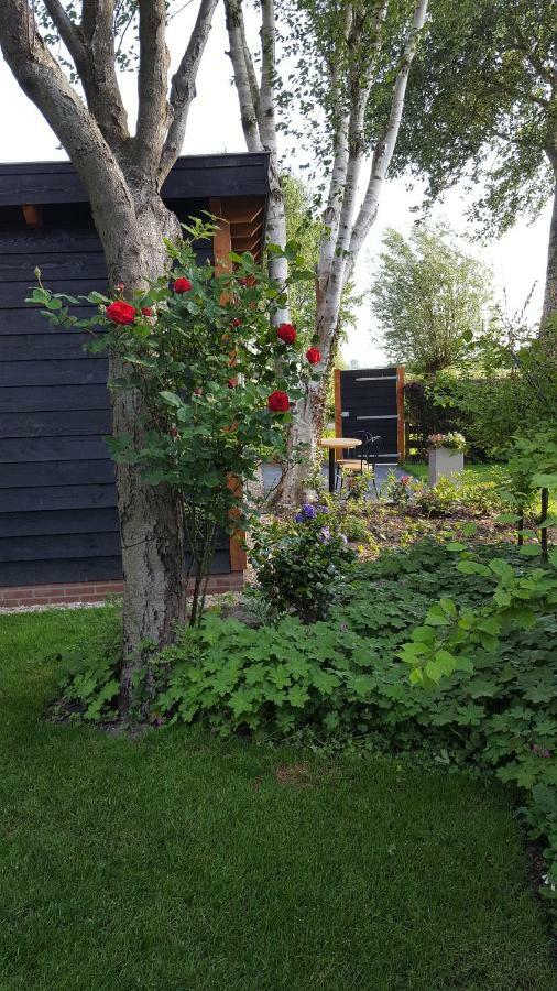 Chalet Castricum Dış mekan fotoğraf